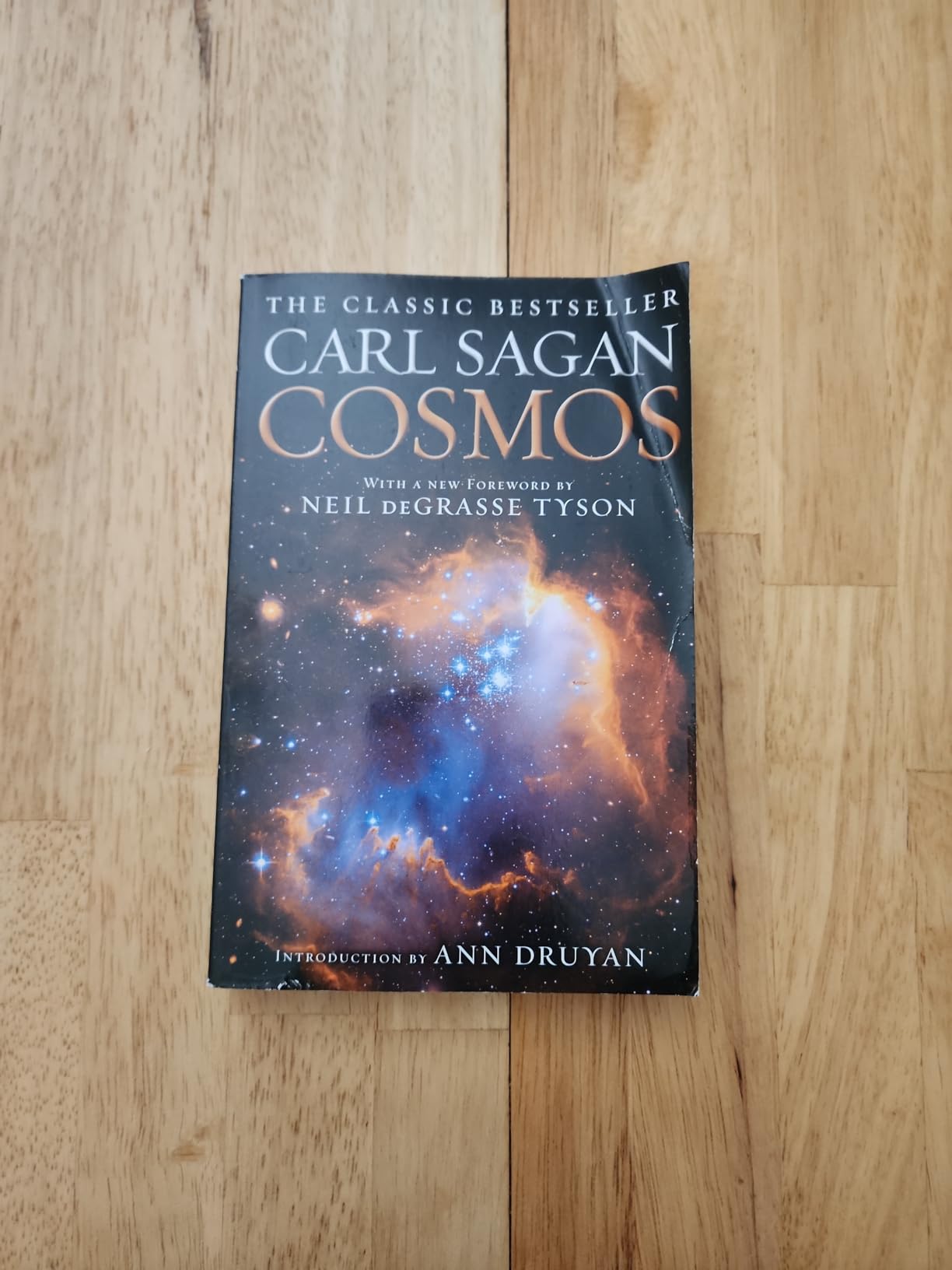 Cosmos Customer Review Cosmos - Customer Photo 2