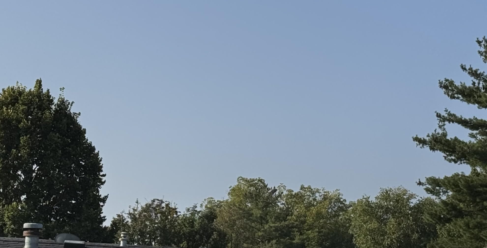 Celestron SkyMaster 20x80 Binoculars – High-Power Binoculars for Astronomy and Long-Range Terrestrial Viewing – Large Aperture with BaK-4 Prisms – Includes Tripod Adapter & Carrying Case Customer Review Celestron SkyMaster 20x80 Binoculars – High-Power Binoculars for Astronomy and Long-Range Terrestrial Viewing – Large Aperture with BaK-4 Prisms – Includes Tripod Adapter & Carrying Case - Customer Photo 3