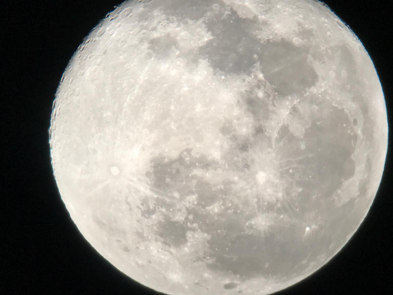 Celestron NexStar 4SE Computerized Telescope – 4-Inch Maksutov-Cassegrain Optical Tube – Fully Automated GoTo Mount with SkyAlign – Ideal for Beginners and Advanced Users – 40,000+ Object Database Customer Review Celestron NexStar 4SE Computerized Telescope – 4-Inch Maksutov-Cassegrain Optical Tube – Fully Automated GoTo Mount with SkyAlign – Ideal for Beginners and Advanced Users – 40,000+ Object Database - Customer Photo 4