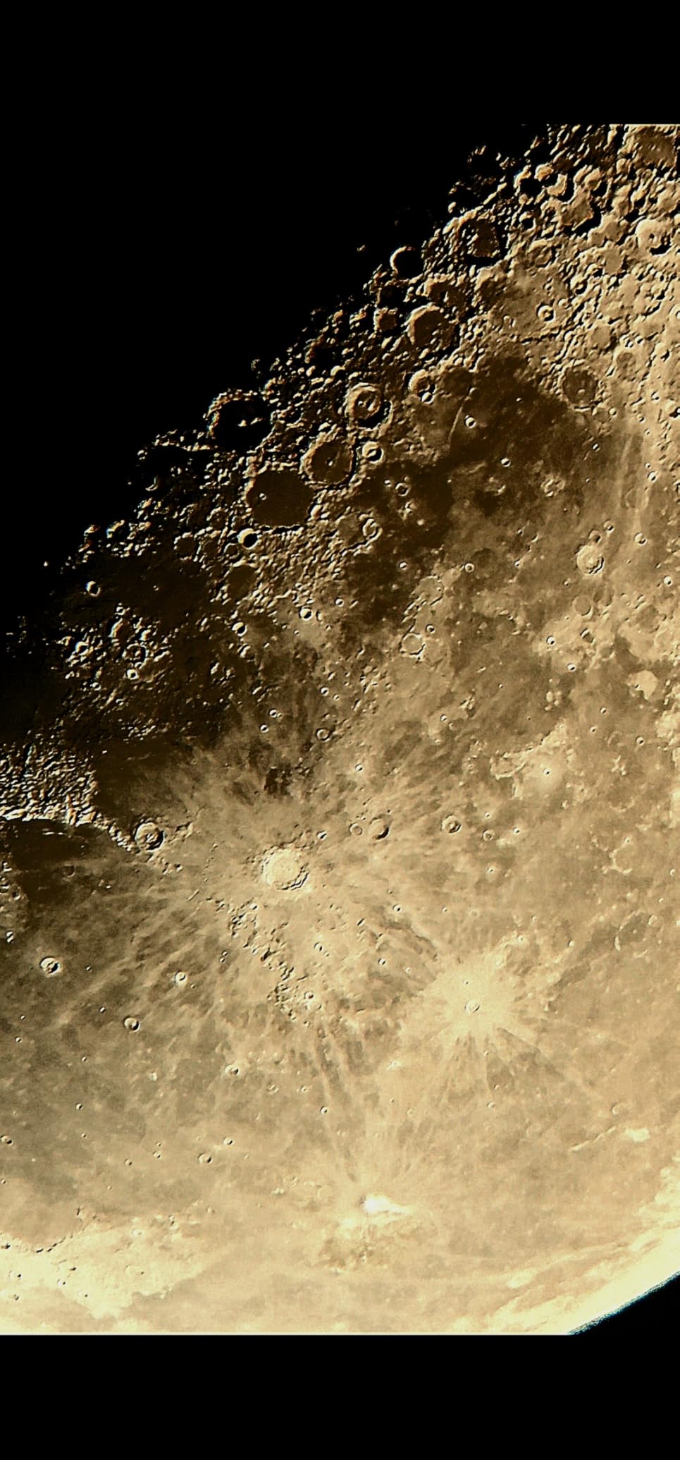 Celestron - 114LCM Computerized Newtonian Telescope - Telescopes for Beginners - 2 Eyepieces - Full-Height Tripod - Motorized Altazimuth Mount - Large 114mm Newtonian Reflector - Customer Photo 3