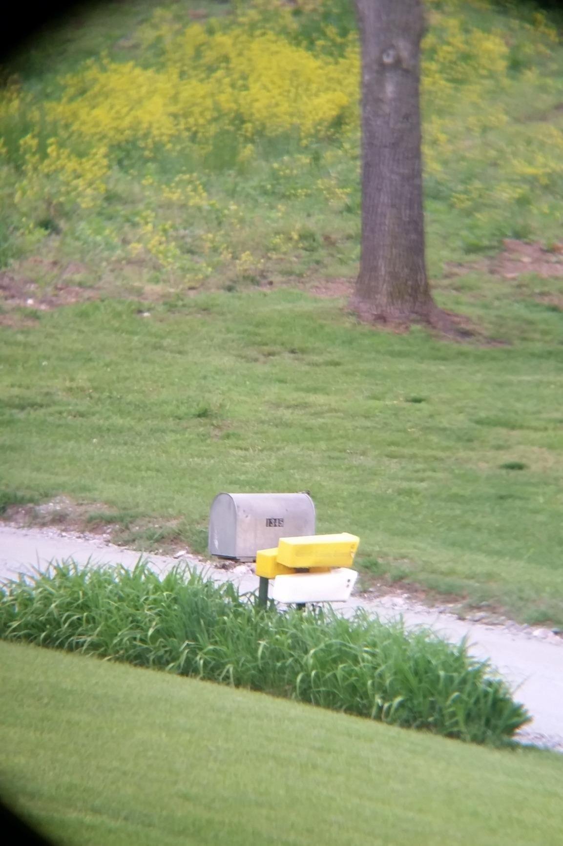 Celestron SkyMaster 25x70 Binoculars – Powerful Binoculars for Detailed Long-Distance Viewing and Binocular Astronomy – Multi-Coated Optics – Tripod Adapter & Carrying Case - Customer Photo 2