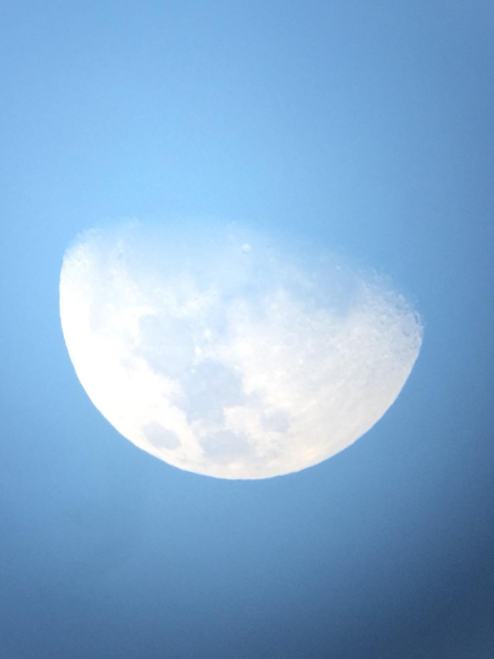 Sky-Watcher Flextube 200 Dobsonian 8-inch Collapsible Large Aperture Telescope – Portable, Easy to Use, Perfect for Beginners (S11700) - Customer Photo 1