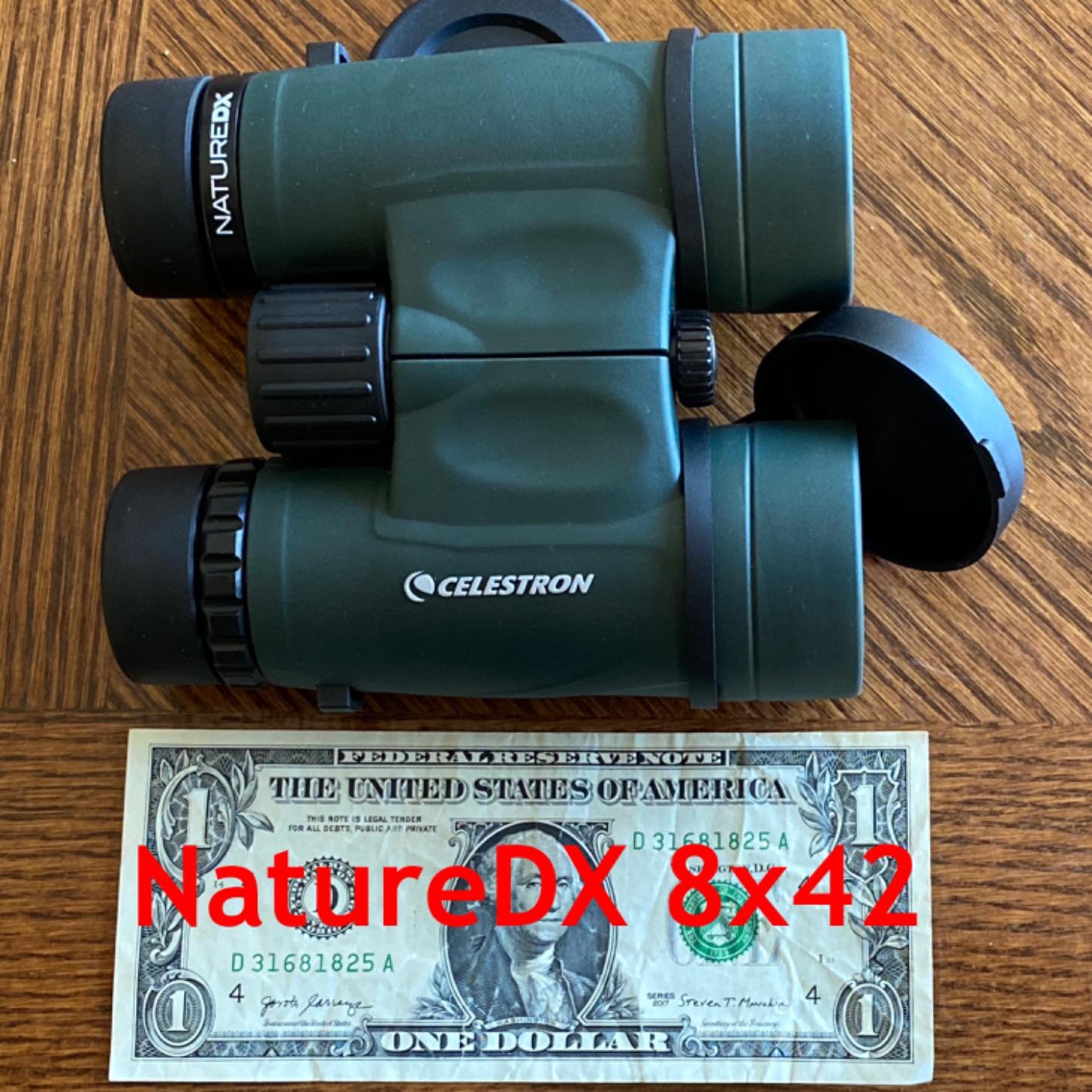 Celestron - Nature DX 8x42 Binoculars - Ideal for Birding and Outdoors - 42mm Objective Lenses - Wide 7.4 Degree Field of View - BaK-4 Prisms - Fully Multi-Coated - Waterproof and Fogproof customer photo 2