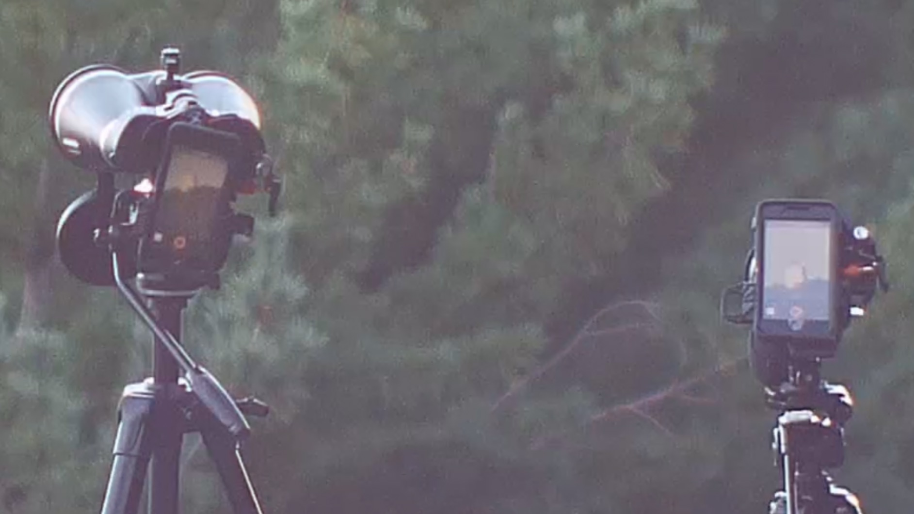 Celestron – SkyMaster Pro 20x80 Binocular – Outdoor and Astronomy Binocular – Large Aperture for Long Distance Viewing – Fully Multi-Coated XLT Coating – Tripod Adapter and Carrying Case Included Customer Review Celestron – SkyMaster Pro 20x80 Binocular – Outdoor and Astronomy Binocular – Large Aperture for Long Distance Viewing – Fully Multi-Coated XLT Coating – Tripod Adapter and Carrying Case Included - Customer Photo 2