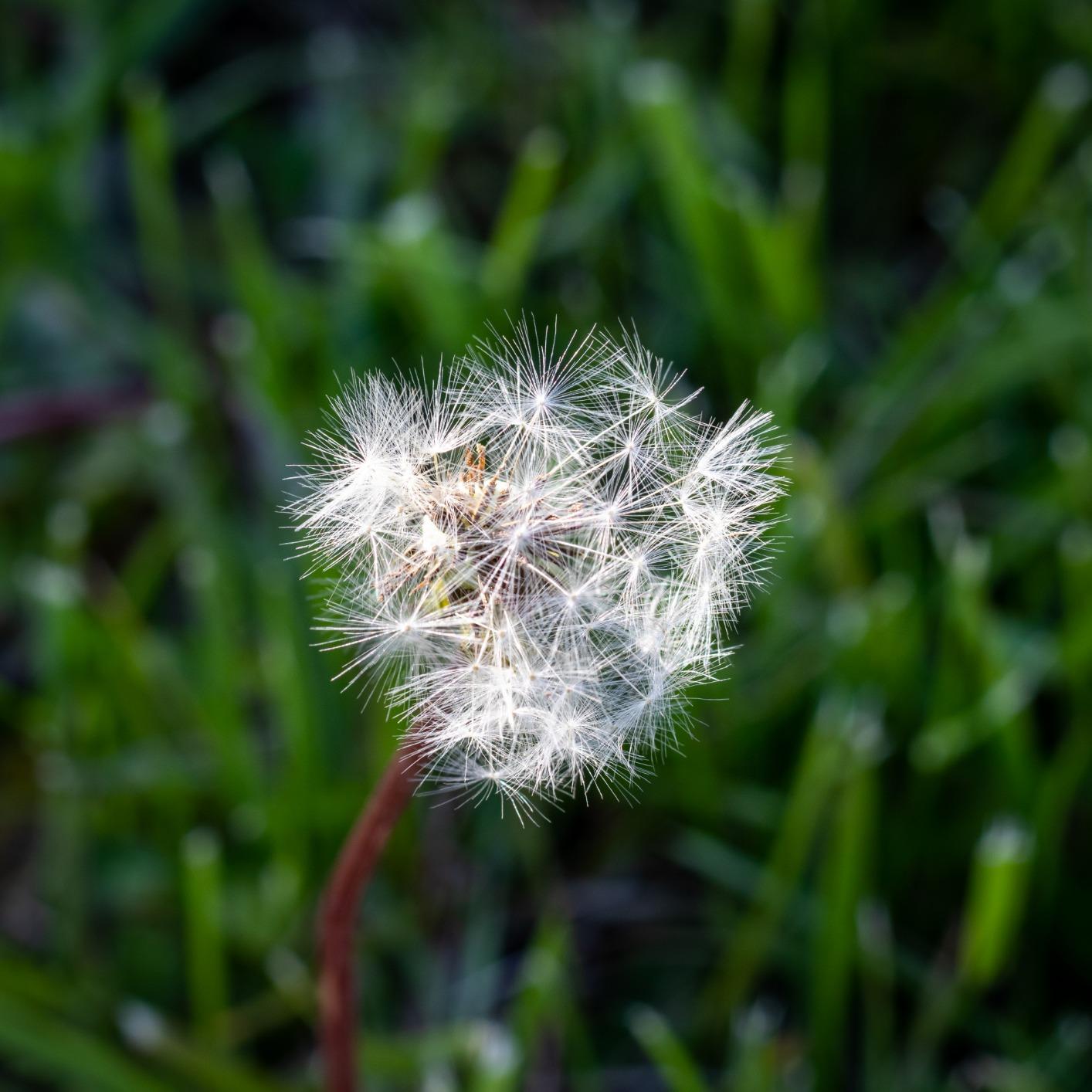 Canon EF 50mm f/1.8 STM Lens Customer Review Canon EF 50mm f/1.8 STM Lens - Customer Photo 1