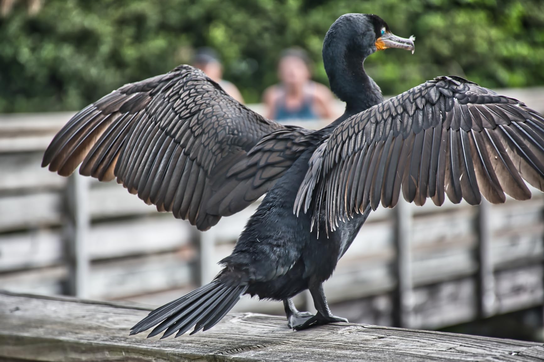 Nikon D7500 20.9MP DSLR Camera with AF-S DX NIKKOR 18-140mm f/3.5-5.6G ED VR Lens, Black - Customer Photo 1