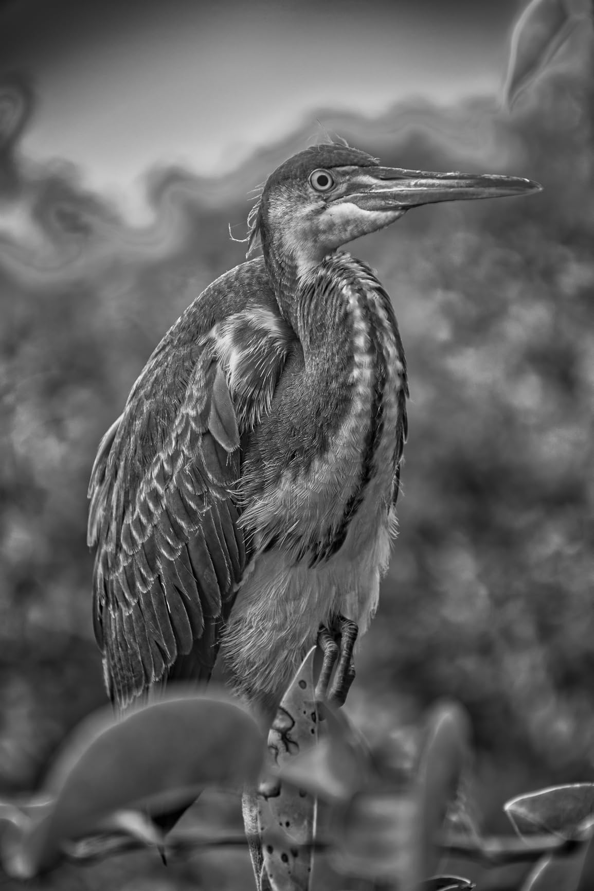 Nikon D7500 20.9MP DSLR Camera with AF-S DX NIKKOR 18-140mm f/3.5-5.6G ED VR Lens, Black - Customer Photo 2