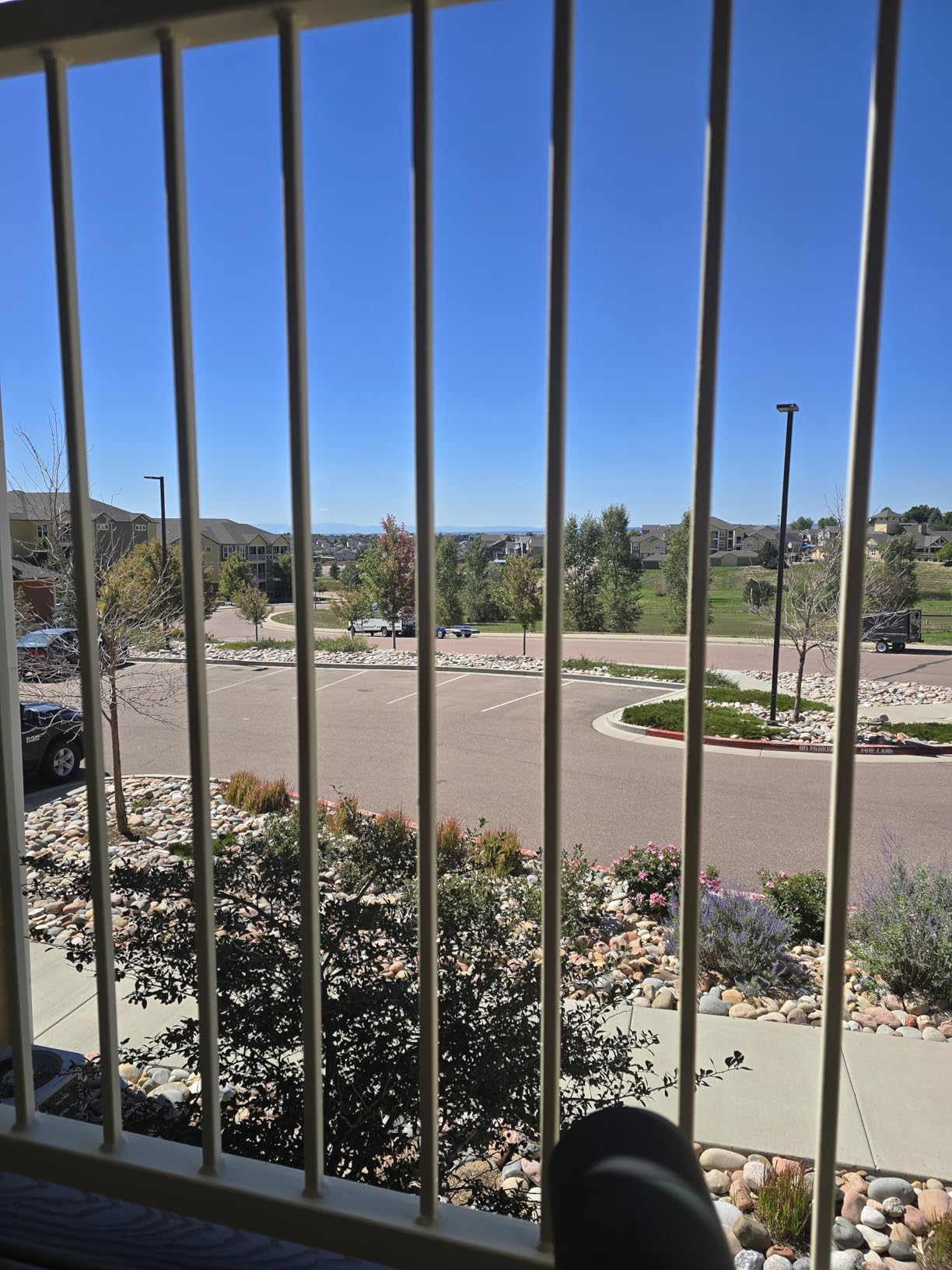 SVBONY SV28 Spotting Scopes with Tripod, Angled 25-75x70mm Spotter Scope with Phone Adapter, Waterproof Fogproof Spotting Scope for Bird Watching, Target Shooting, Wildlife Viewing Customer Review SVBONY SV28 Spotting Scopes with Tripod, Angled 25-75x70mm Spotter Scope with Phone Adapter, Waterproof Fogproof Spotting Scope for Bird Watching, Target Shooting, Wildlife Viewing - Customer Photo 2