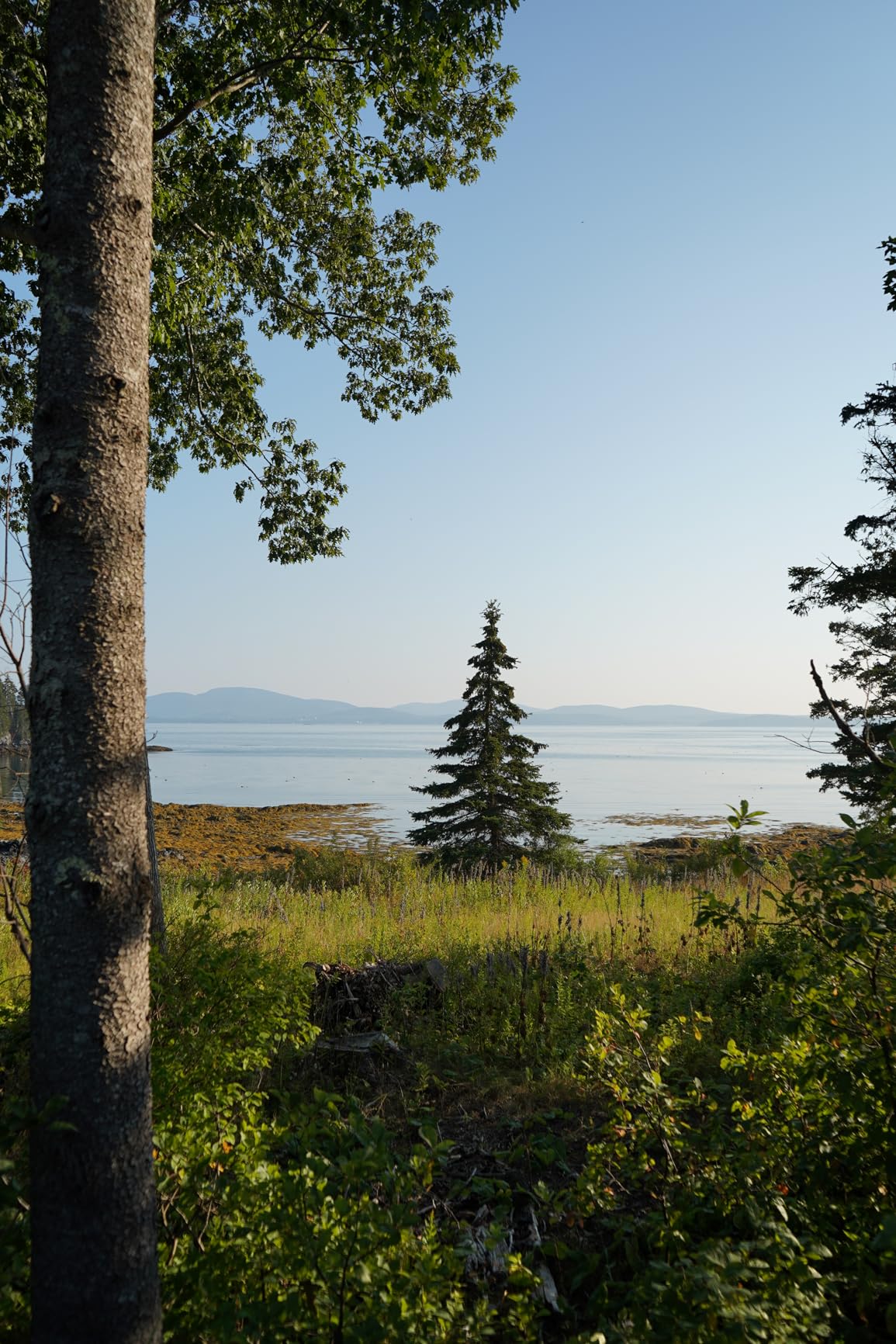 Sony ILCE-7M3K/B a7 III 24.2MP Full Frame Mirrorless Camera w 28-70mm Lens customer photo 1