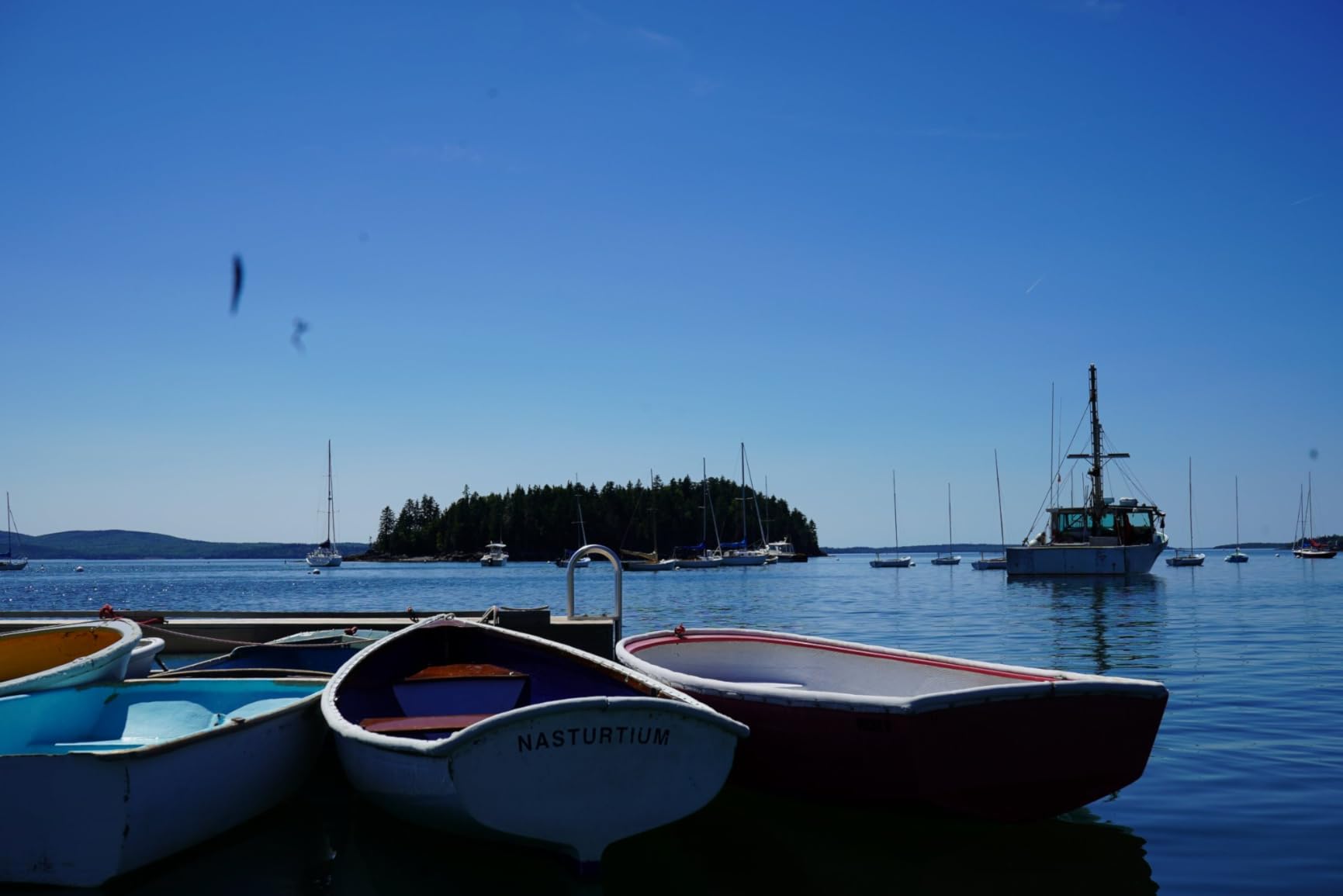 Sony ILCE-7M3K/B a7 III 24.2MP Full Frame Mirrorless Camera w 28-70mm Lens customer photo 2