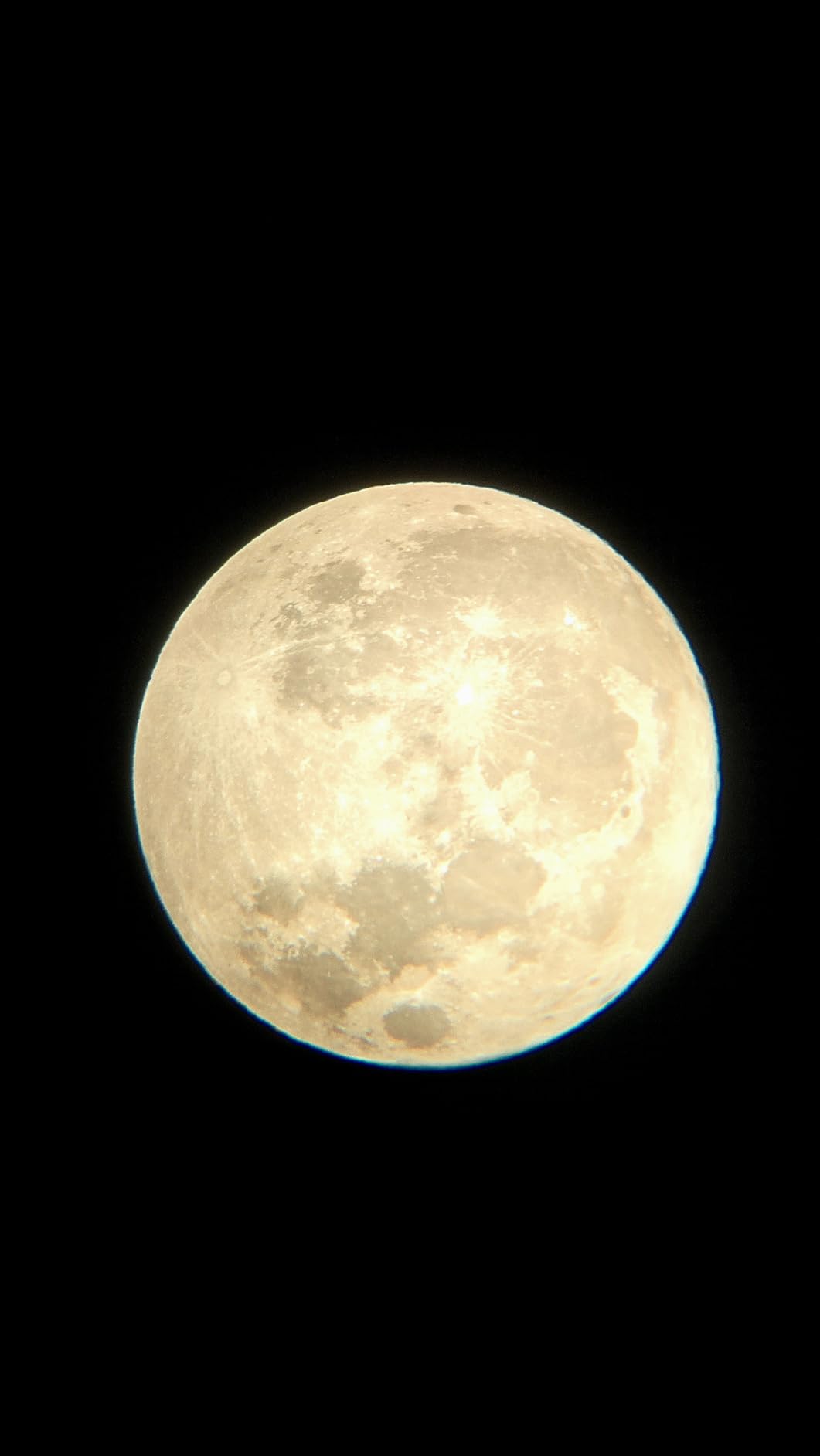 Celestron Travel Scope 80 Portable Refractor Telescope – 80mm Aperture, Fully-Coated Glass Optics – Includes Tripod, Smartphone Adapter, Backpack & Software – Ideal for Beginners & Travel Customer Review Celestron Travel Scope 80 Portable Refractor Telescope – 80mm Aperture, Fully-Coated Glass Optics – Includes Tripod, Smartphone Adapter, Backpack & Software – Ideal for Beginners & Travel - Customer Photo 1