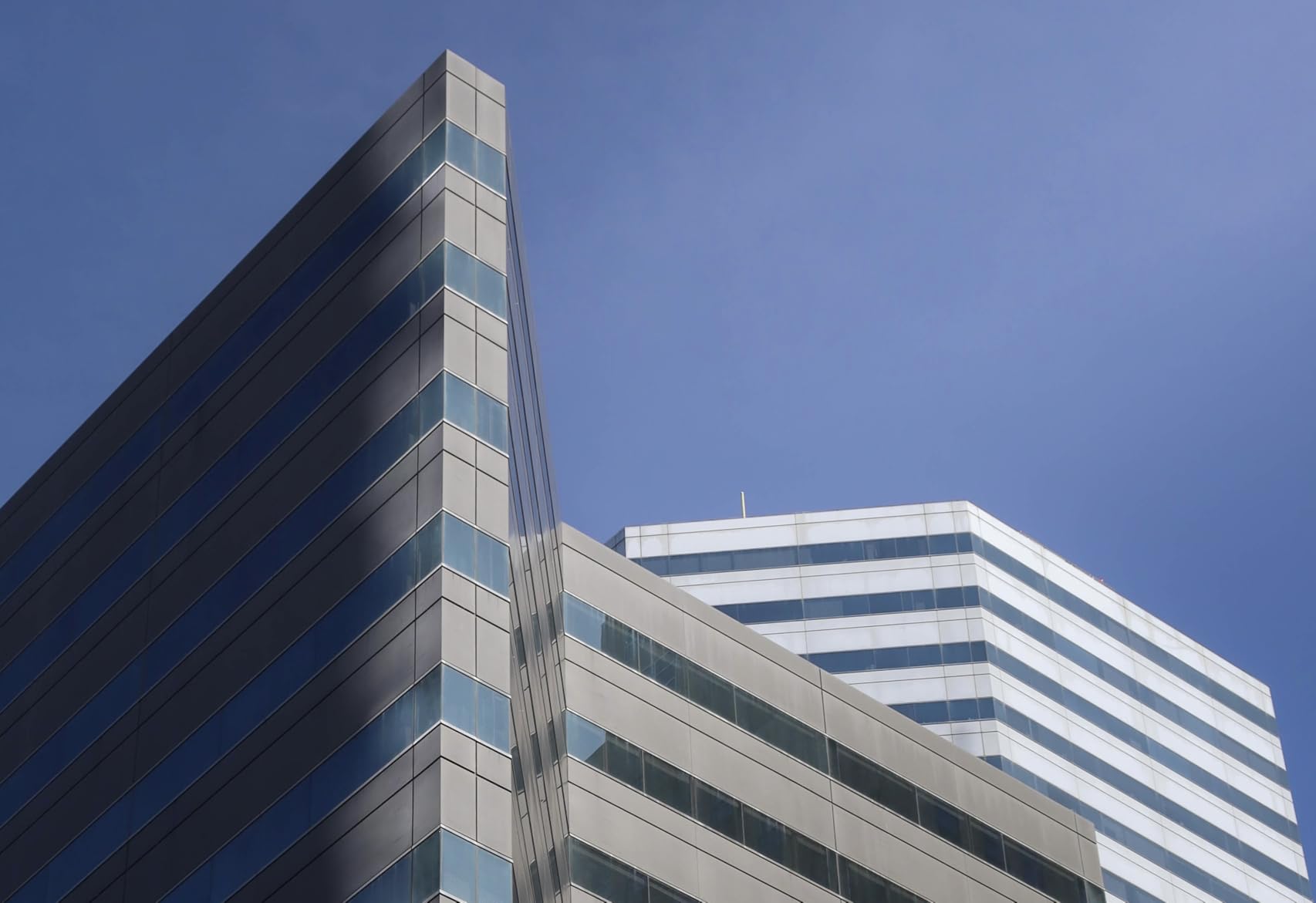 Canon EOS RP Full-Frame Mirrorless Interchangeable Lens Camera + RF24-105mm Lens F4-7.1 is STM Lens Kit- Compact and Lightweight for Traveling and Vlogging, Black (3380C132) - Customer Photo 5