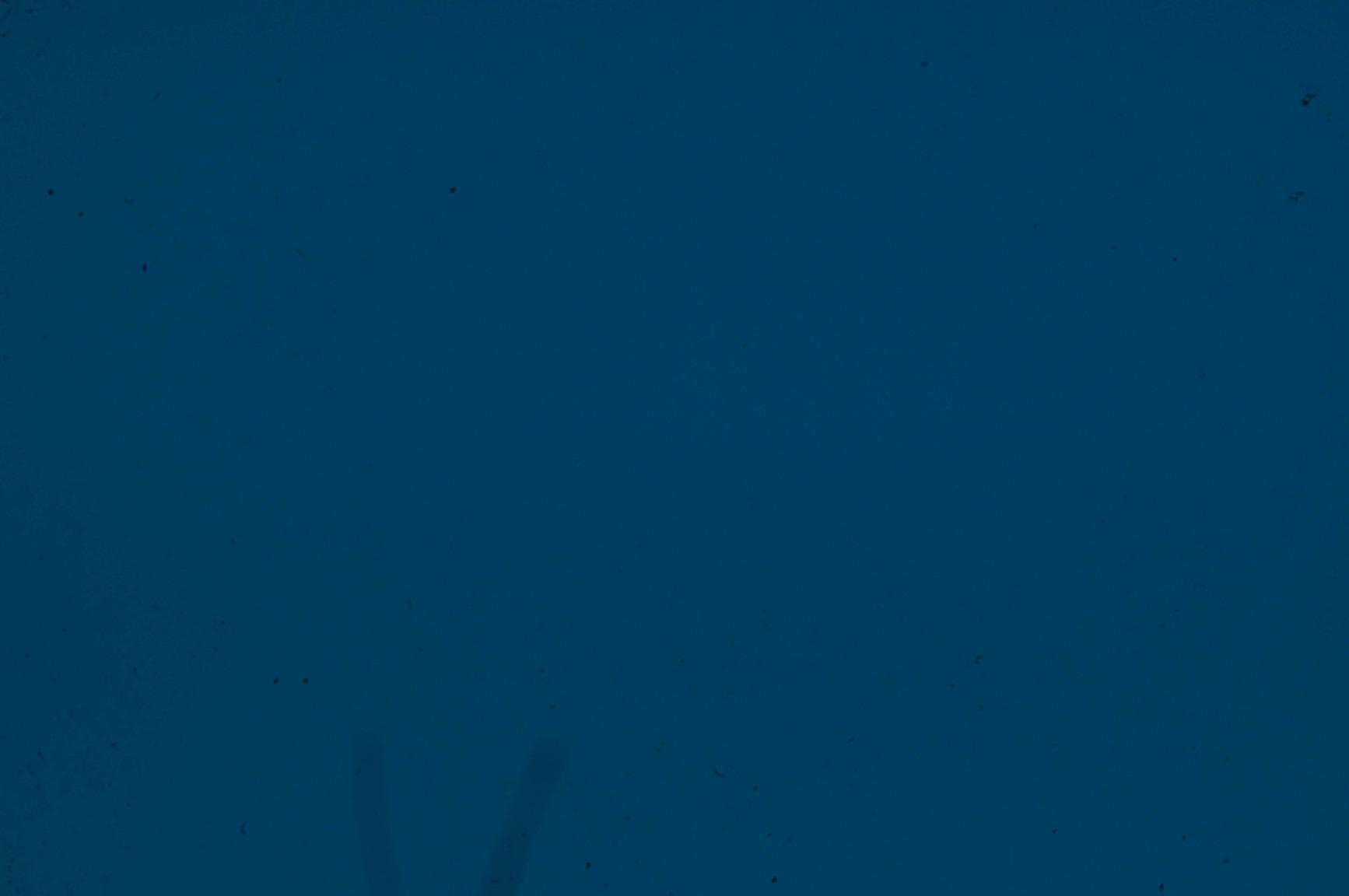 Celestron Lens Cleaning Kit - Customer Photo 1