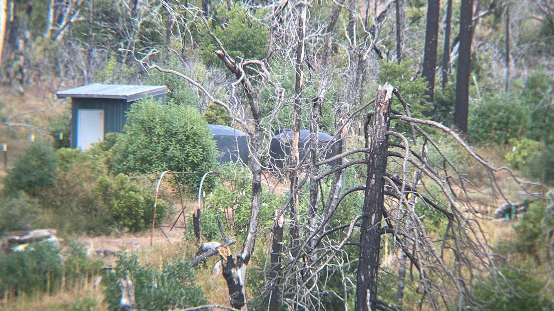 LAKWAR Telescope Phone Adapter, Universal Cell Phone Mount Compatible Binoculars, Monocular, Microscope, Spotting Scope, Telescope, Smartphone Holder Clip Bracket Fits Almost of Mobile Phones Customer Review LAKWAR Telescope Phone Adapter, Universal Cell Phone Mount Compatible Binoculars, Monocular, Microscope, Spotting Scope, Telescope, Smartphone Holder Clip Bracket Fits Almost of Mobile Phones - Customer Photo 1