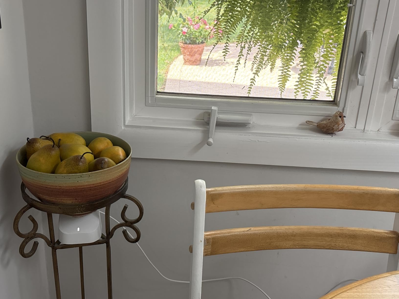 Amazon eero 6+ mesh wifi system - Supports internet plans up to a Gigabit, Coverage up to 4,500 sq. ft., Connect 75+ devices, 3-pack Customer Review Amazon eero 6+ mesh wifi system - Supports internet plans up to a Gigabit, Coverage up to 4,500 sq. ft., Connect 75+ devices, 3-pack - Customer Photo 2