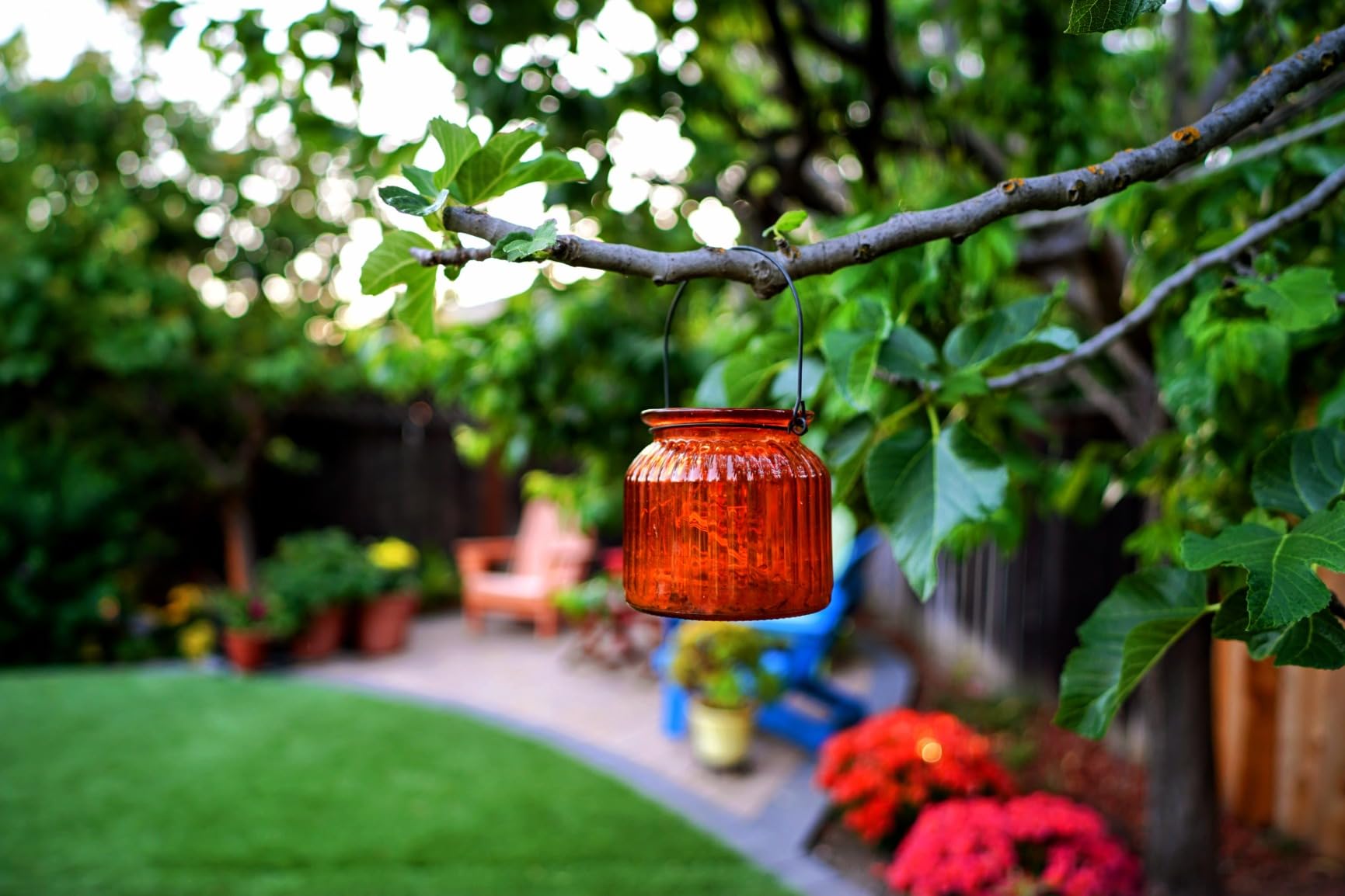 Samyang 24mm F1.8 AF Full Frame Lens for Sony E – Wide Angle, Lightweight, Weather Sealed, Astrophotography Mode, Custom Switch, Silent STM Focus, 9 Blades, 58mm Filter Thread (Black) - Customer Photo 2