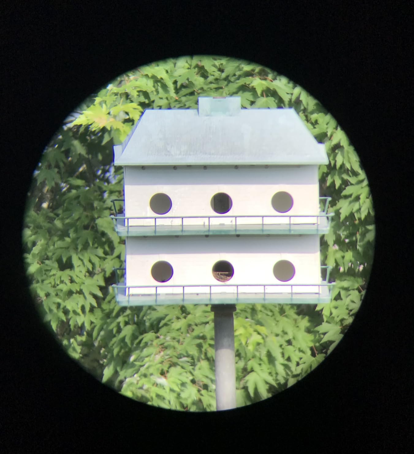 Telescopes for Adults Astronomy, 80mm Aperture 600mm Refractor Telescope for Kids & Beginners, Compact and Portable Travel Telescopio with Backpack Customer Review Telescopes for Adults Astronomy, 80mm Aperture 600mm Refractor Telescope for Kids & Beginners, Compact and Portable Travel Telescopio with Backpack - Customer Photo 1