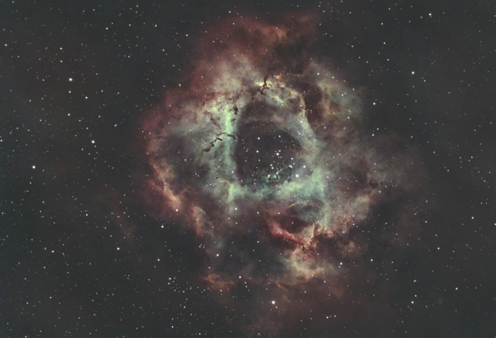 SVBONY SV405CC Cooled Telescope Camera, 11.7 MP USB3.0, BI IMX294 CMOS Color Sensor customer photo 1