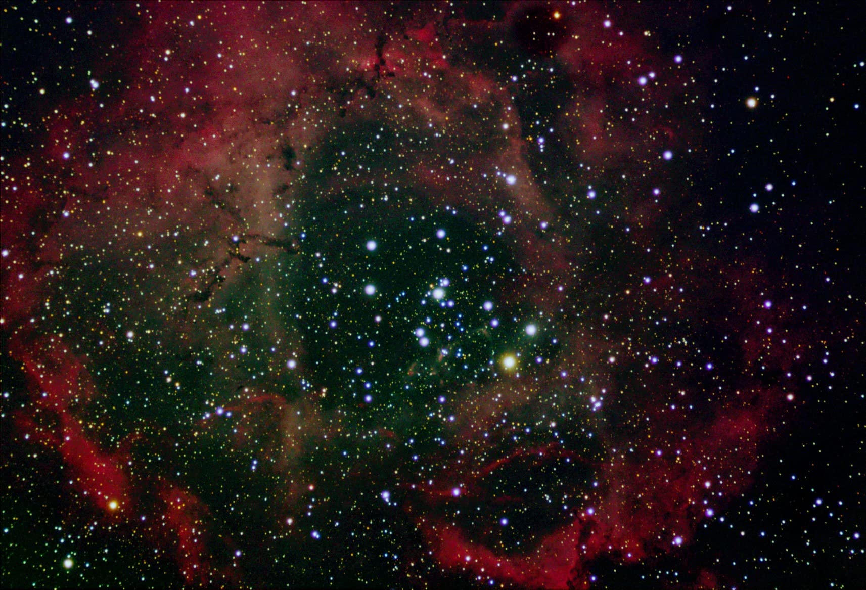 SVBONY SV405CC Cooled Telescope Camera, 11.7 MP USB3.0, BI IMX294 CMOS Color Sensor customer photo 2