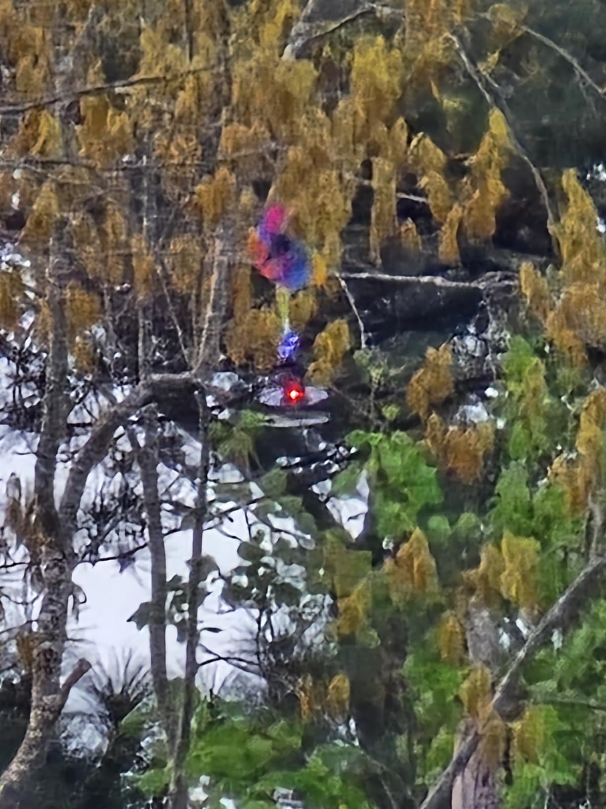 Rocket Launcher for Kids, Self Launching Motorized Air Rocket Toy, Outdoor Toys for Ages 8-12, Model Rockets with Parachute Safely Land, Spaceship Launch up to 200 ft Birthday Gifts for Boys - Customer Photo 1