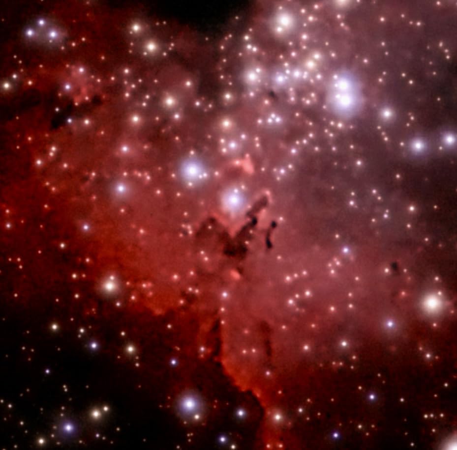 EVSCOPE 2 - Smart Digital Telescope - Ideal for All Users - iPhone and Android Compatible - 114mm Aperture - Nikon Eyepiece Technology - Customer Photo 2