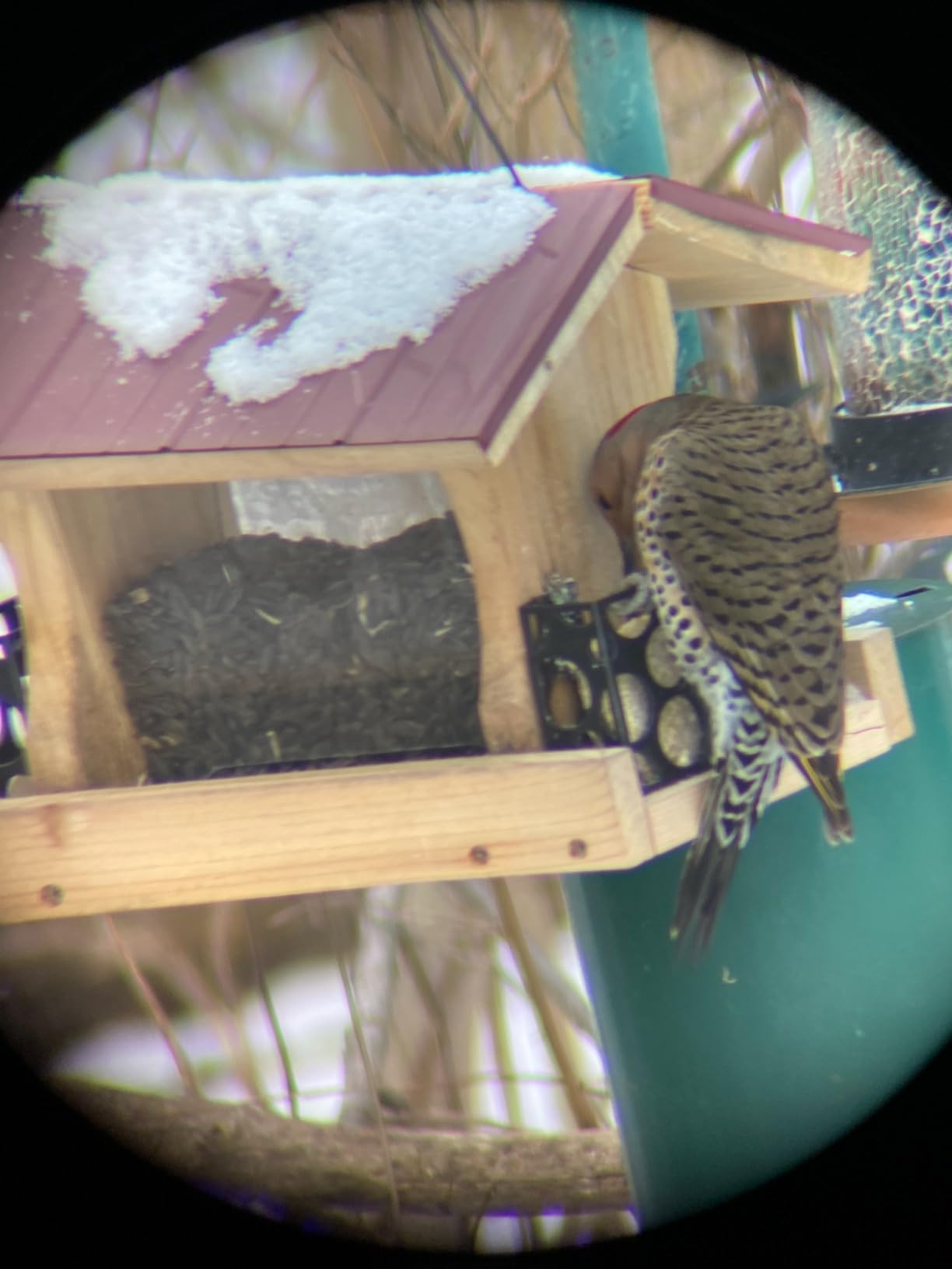 Upgrade Smartphone Scope Adapter Spotting Scope Phone Adapter - Telescope Phone Mount for Spotting Scopes & Binoculars & Monocular & Telescope & Microscope Customer Review Upgrade Smartphone Scope Adapter Spotting Scope Phone Adapter - Telescope Phone Mount for Spotting Scopes & Binoculars & Monocular & Telescope & Microscope - Customer Photo 2