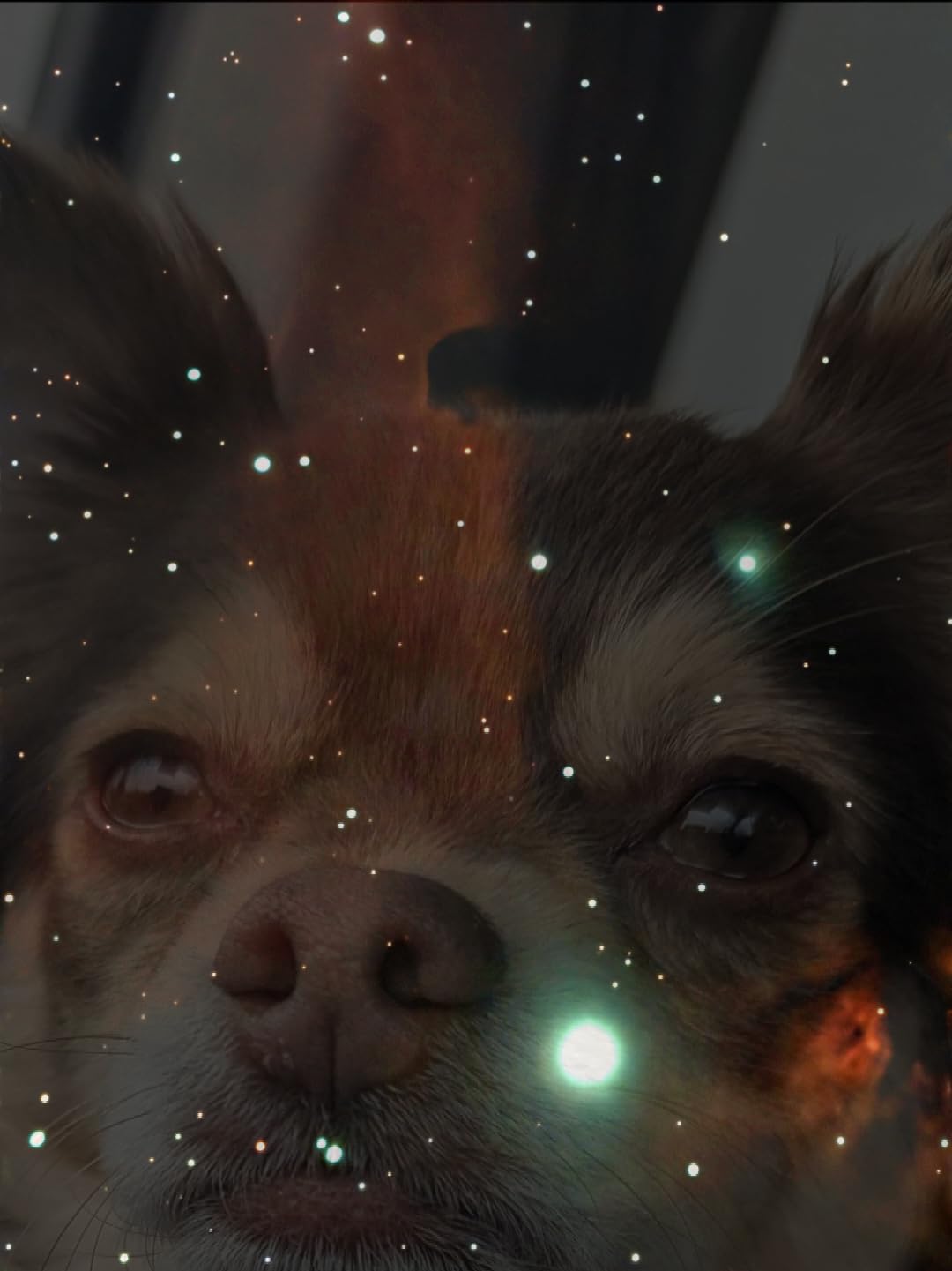 ZWO Seestar S50 Smart Digital Telescope All-in-One Autofocus Portable for Beginners and Experienced Users Customer Review ZWO Seestar S50 Smart Digital Telescope All-in-One Autofocus Portable for Beginners and Experienced Users - Customer Photo 1