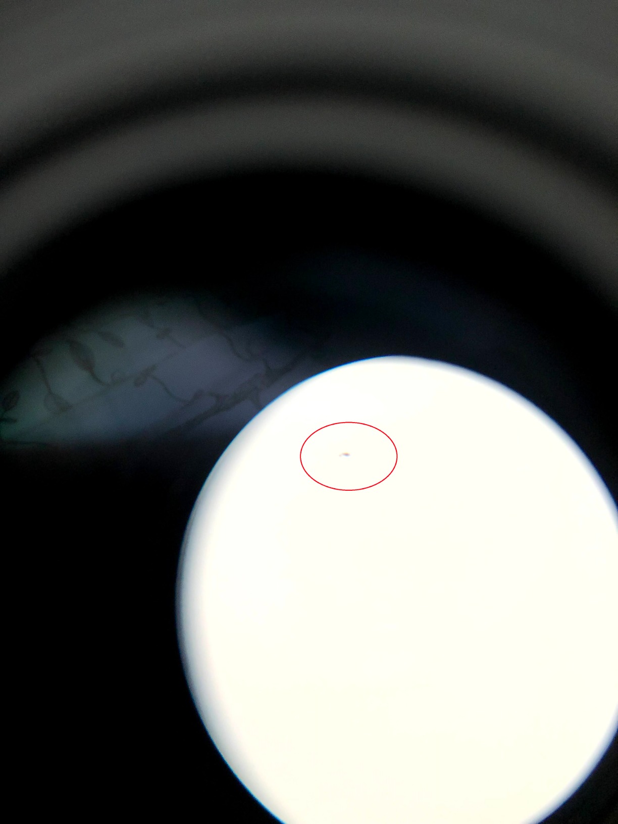 SVBONY SV135 Zoom Eyepiece, Zoom 7 to 21mm 1.25 Inch Telescope Eyepiece, 7 Element 4 Group Telescope Accessories for Astronomic Telescopes Visual - Customer Photo 2