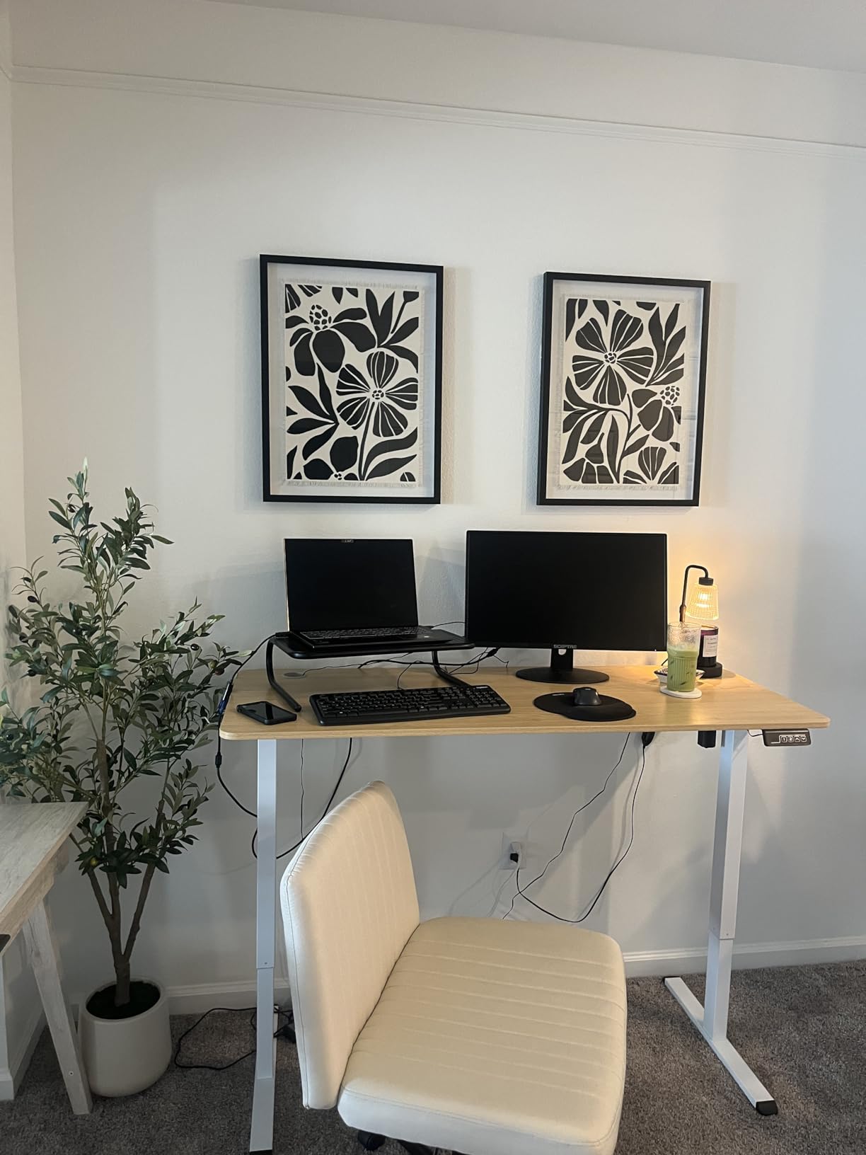 Furmax 55 x 24 Inches Electric Height Adjustable Standing Desk Large Sit Stand Up Desk Home Office Computer Desk Memory Preset with T-Shaped Metal Bracket, Black - Customer Photo 2