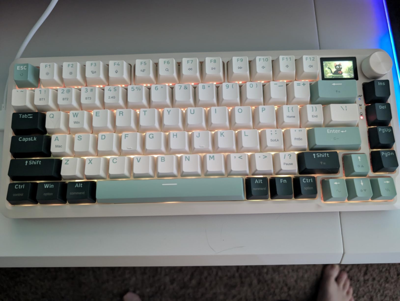 Redragon K708 Pro Wireless Mechanical Gaming Keyboard - Gasket-Mounted RGB Backlit, 81 Customizable Keys, 3-Mode (2.4G/Bluetooth/USB), Hot-Swap Pre-Lubed Switches, Screen & Control Knob - White Green Customer Review Redragon K708 Pro Wireless Mechanical Gaming Keyboard - Gasket-Mounted RGB Backlit, 81 Customizable Keys, 3-Mode (2.4G/Bluetooth/USB), Hot-Swap Pre-Lubed Switches, Screen & Control Knob - White Green - Customer Photo 1