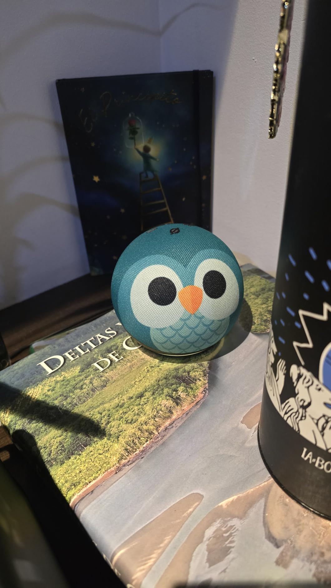 Amazon Echo Dot Kids (newest model) - Designed for kids, with Alexa+ Early Access, parental controls, Includes 1 Year of Amazon Kids+, Owl - Customer Photo 3