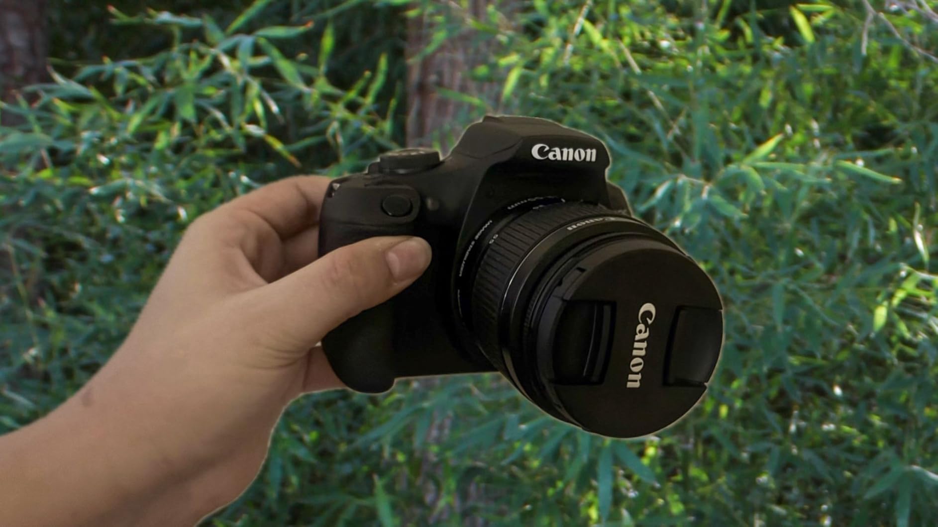 Canon EOS Rebel T7 DSLR Camera with 18-55mm Lens | Built-in Wi-Fi | 24.1 MP CMOS Sensor | DIGIC 4+ Image Processor and Full HD Videos customer photo 1